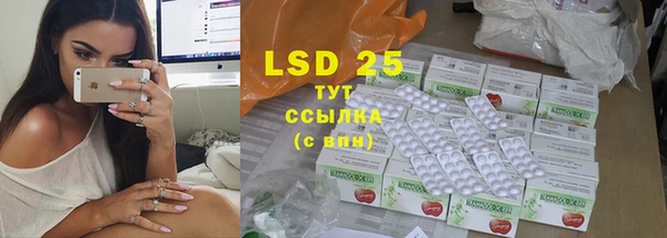 PSILOCYBIN Балабаново