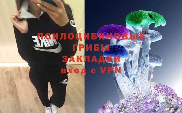 PSILOCYBIN Балабаново