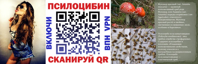 Галлюциногенные грибы Psilocybine cubensis где найти наркотики blacksprut tor Волосово