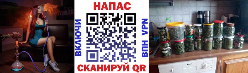 блэк спрут зеркало  цена наркотик  Волосово  Бошки марихуана VHQ 